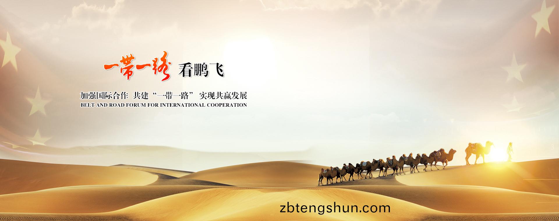 一(yi)帶(dai)一(yi)路(lu)看(kan)鵬飛(fei)